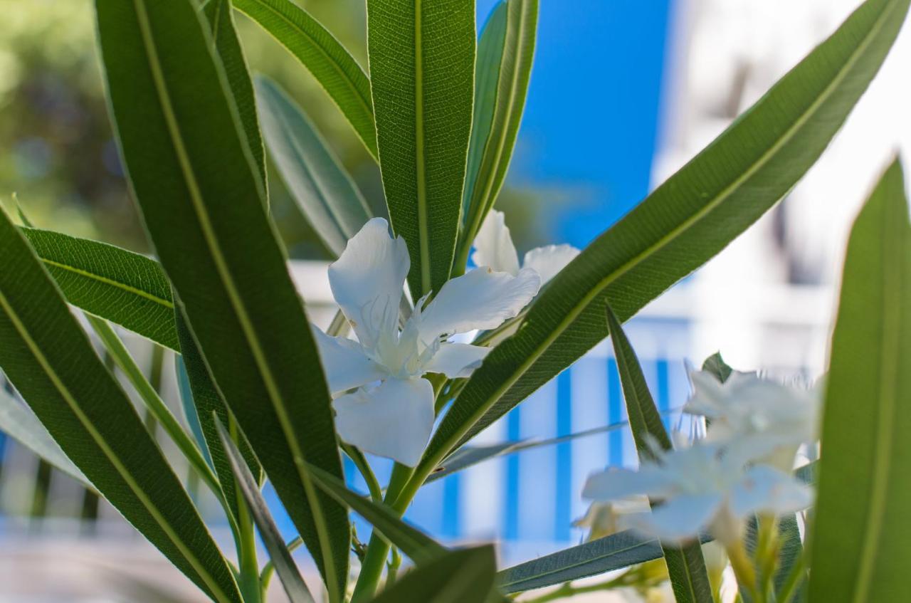 Apartmán Amila Crikvenica Exteriér fotografie
